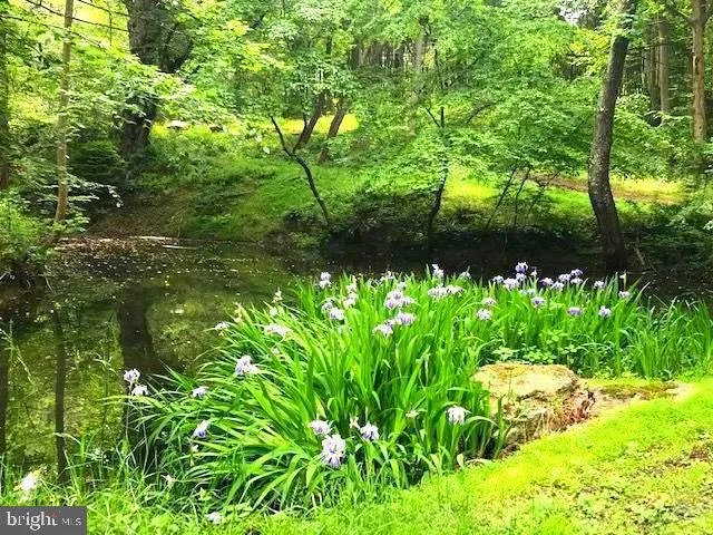 $1,339,900 | 7244 Mink Hollow Road, Highland, MD 20777