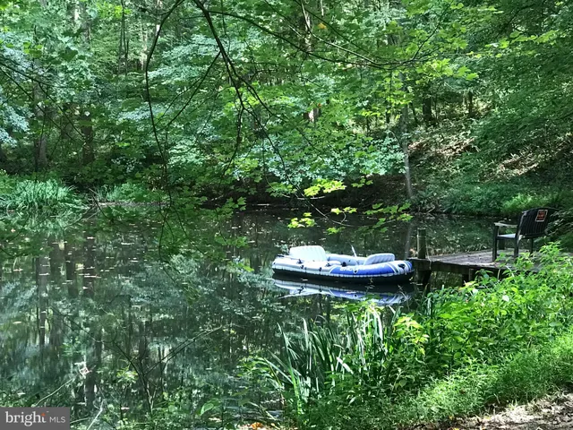 a view of a garden with plants and large trees