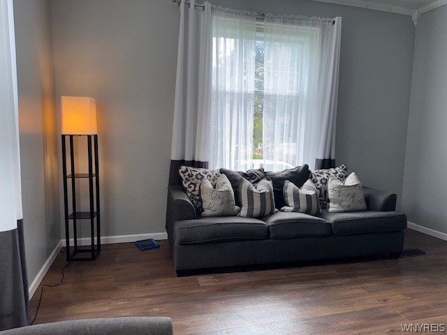 501 South Academy Street Ridgeway, NY 14103 - Photo 4 of 22