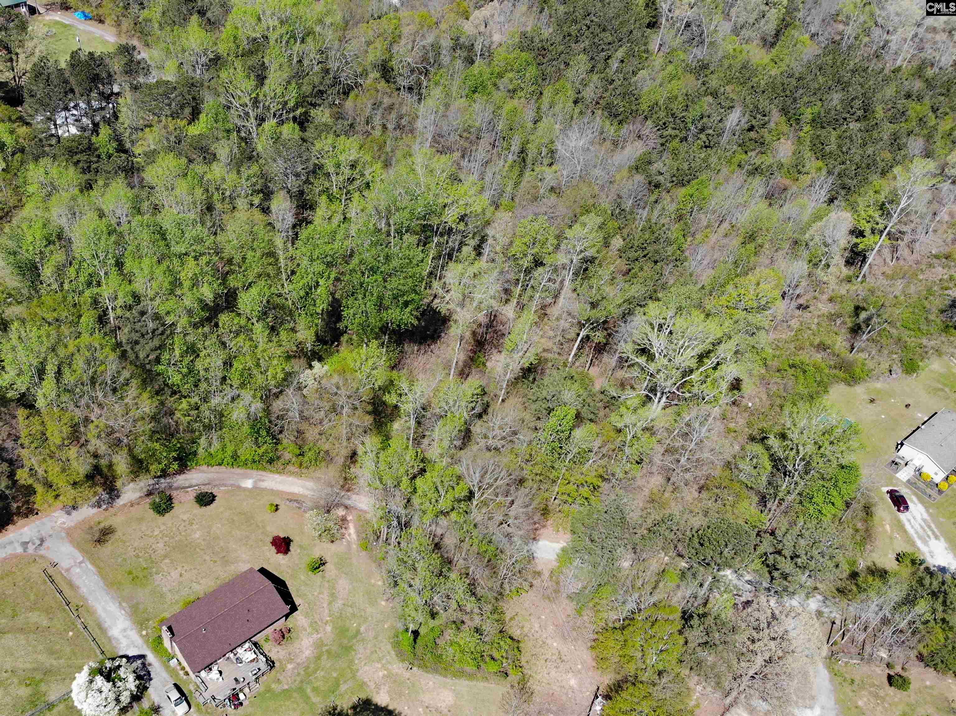 Tbd James Road Joanna, SC 29351 - Photo 82 of 82