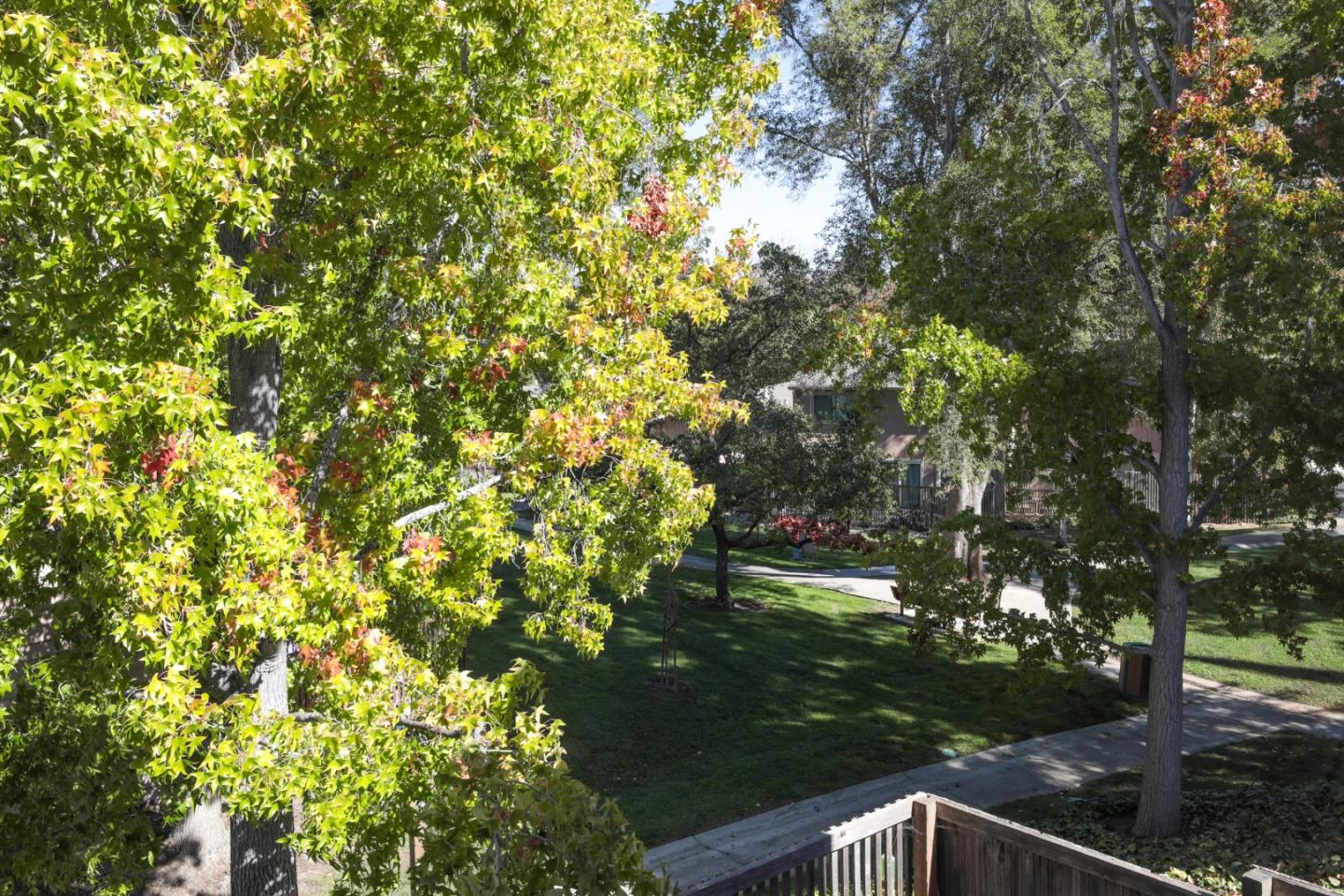10176 Camberley Lane Cupertino, CA 95014 - Photo 18 of 22 a view of backyard with green space