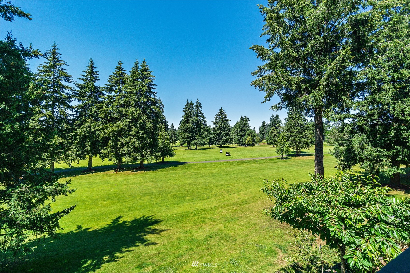 a view of a golf course with a tree
