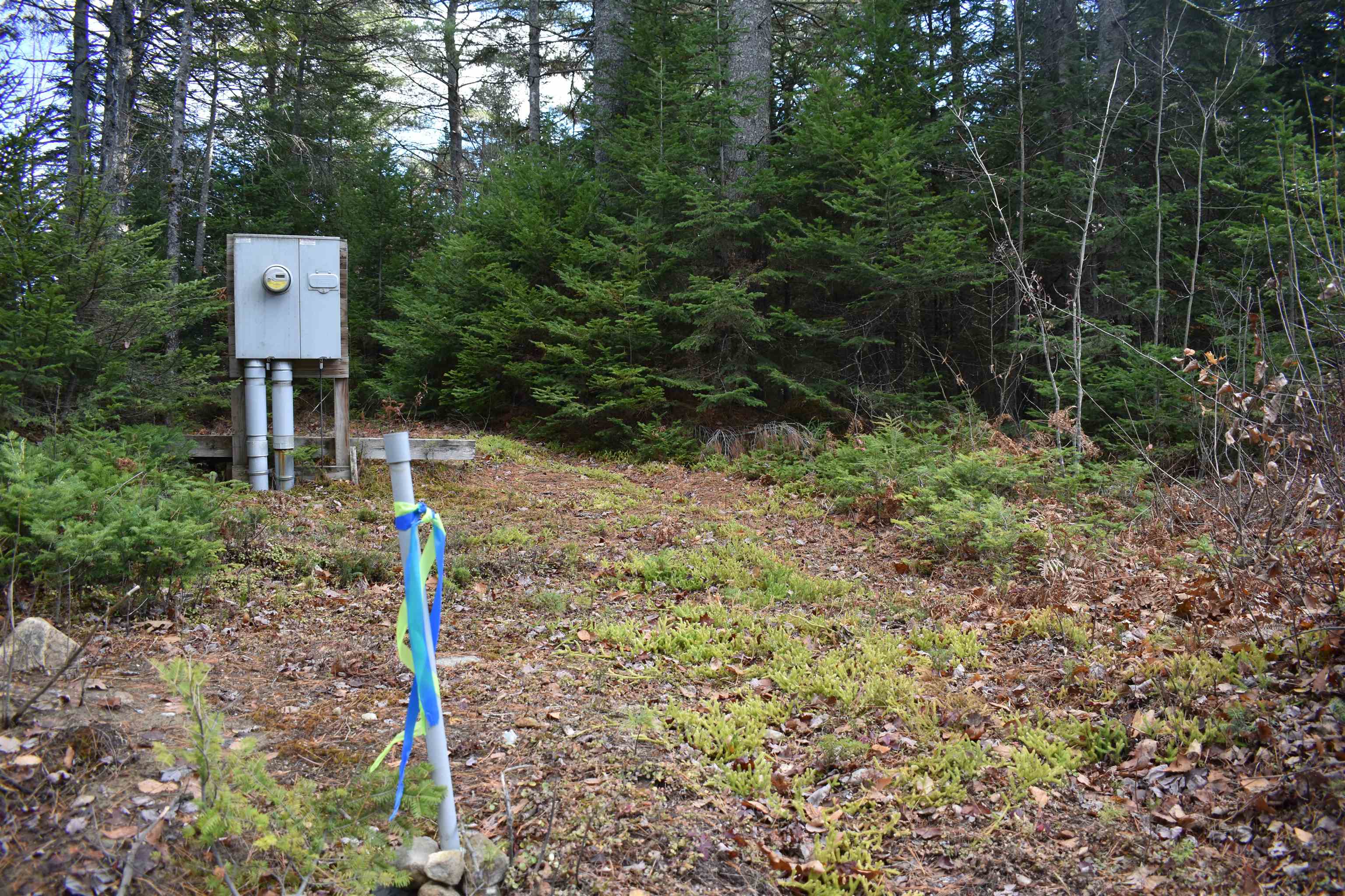 0 Grafton Pond Road Enfield, NH 03748 - Photo 1 of 24