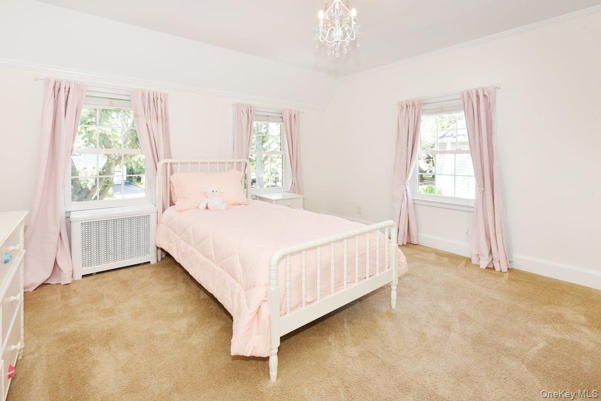 162 Elton Road Garden City, NY 11530 - Photo 20 of 29 Gallery Image 20