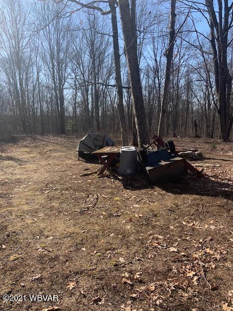 Boone Road, Unit 3 Cross Fork, PA 17729 - Photo 7 of 12 Gallery Image 7