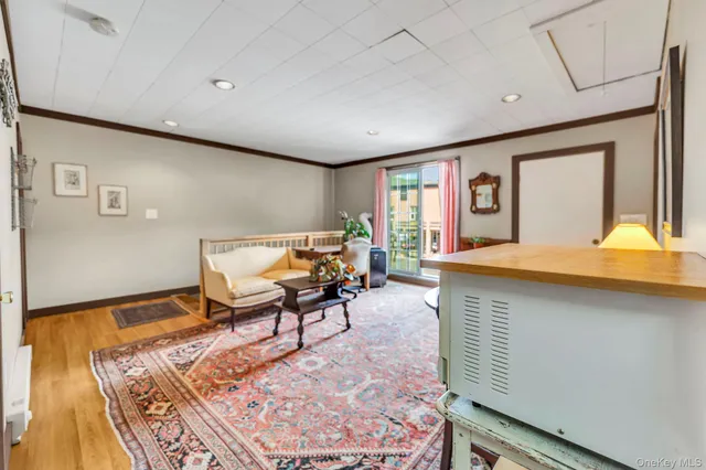 a living room with furniture and a rug