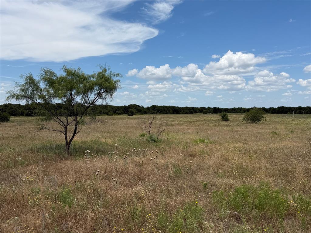 1450 County Road 240 Rising Star, TX 76471 - Photo 10 of 17 a view of a lake in between of the house
