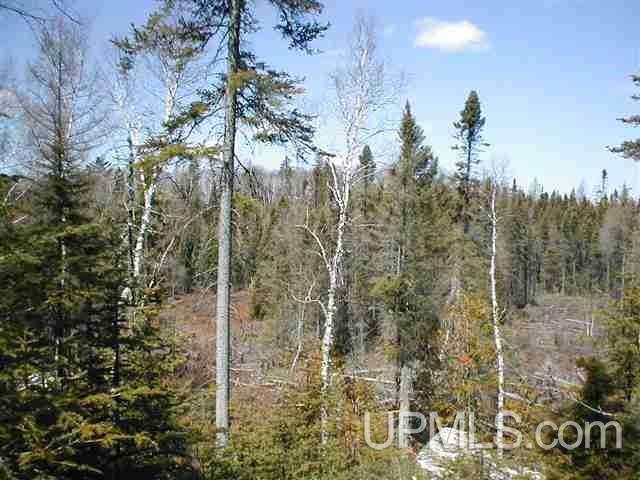 Tbd Off Craig Lake Road Michigamme, MI 49861 - Photo 9 of 23
