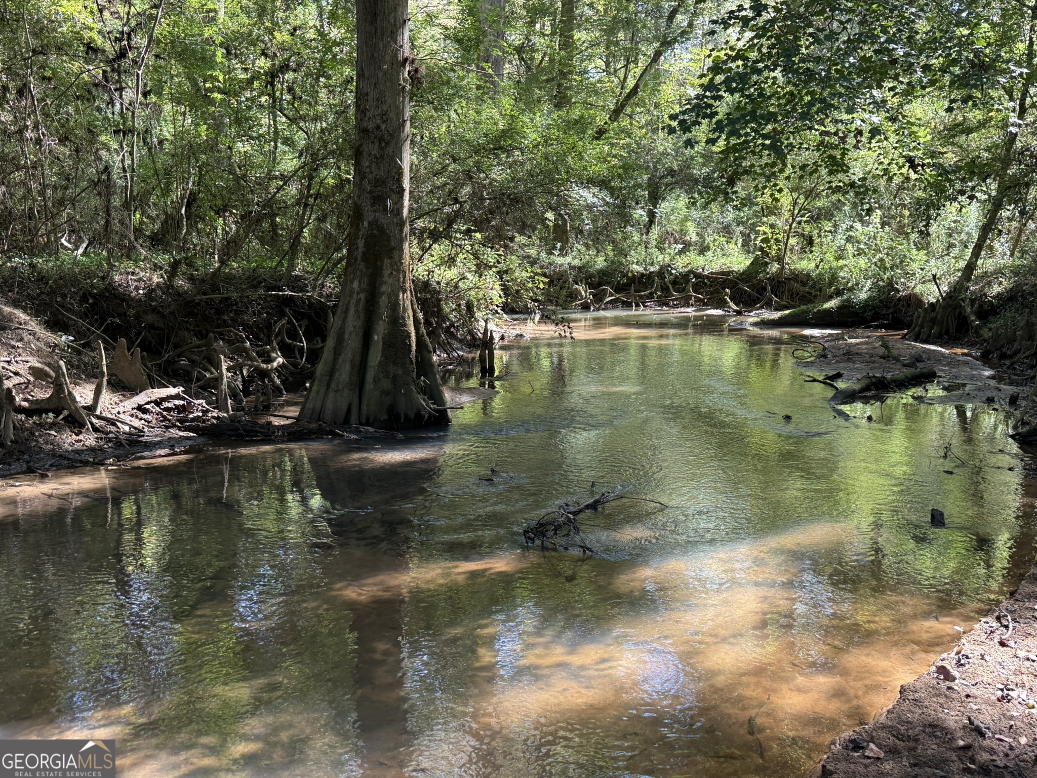 32 Wallace Buie Road Webb, AL 36376 - Photo 1 of 1 a view of lake