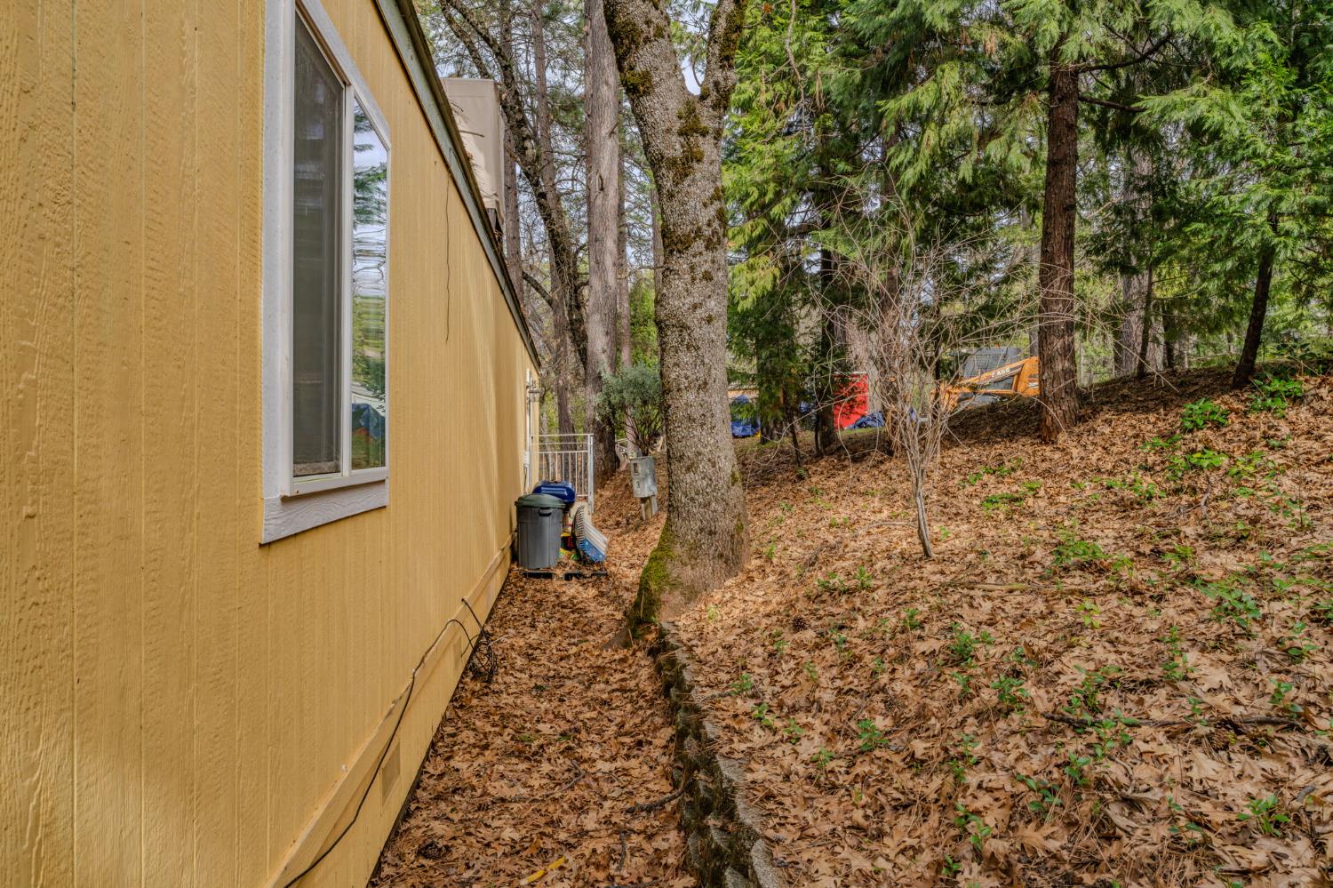 245 Railroad Flat Road Rail Road Flat, CA 95248 - Photo 8 of 31