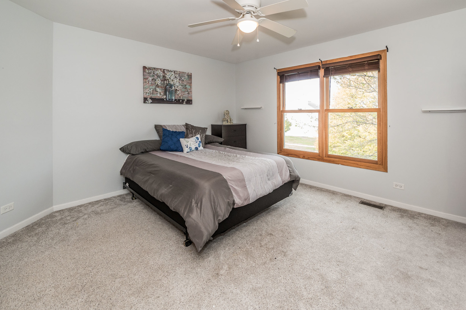 24833 Burdick Road Plainfield, IL 60585 - Photo 23 of 41 Gallery Image 23