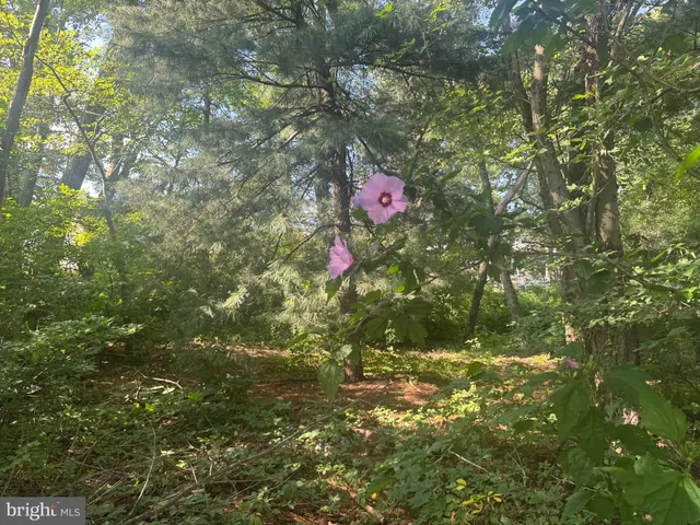 $48,000 | 0 South Garfield Avenue, Frackville, PA 17931