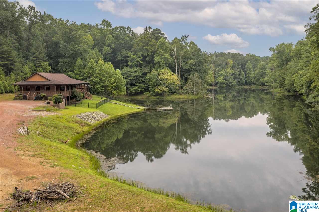1775 County Road 143 Bremen, AL 35033 - Photo 38 of 49