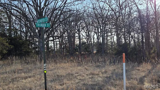 $180,000 | 0 Schofer Street, Newburg, MO 65550