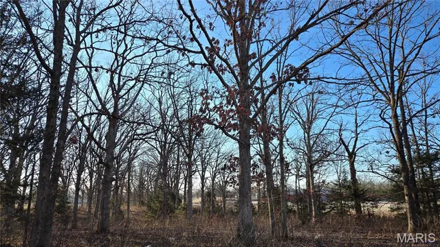 $180,000 | 0 Schofer Street, Newburg, MO 65550