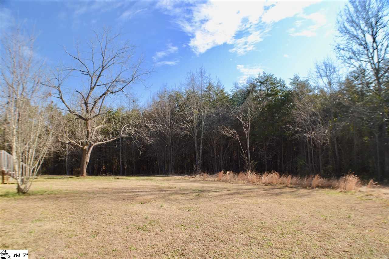 260 Grassland Road Campobello, SC 29322 - Photo 3 of 22