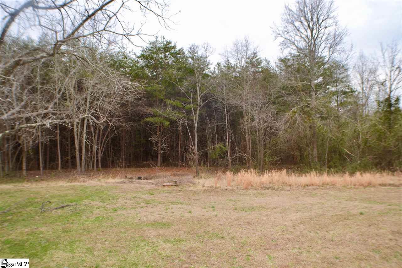260 Grassland Road Campobello, SC 29322 - Photo 4 of 22