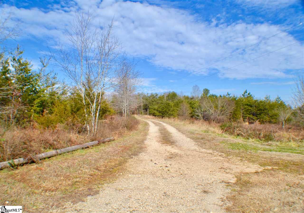 260 Grassland Road Campobello, SC 29322 - Photo 8 of 22