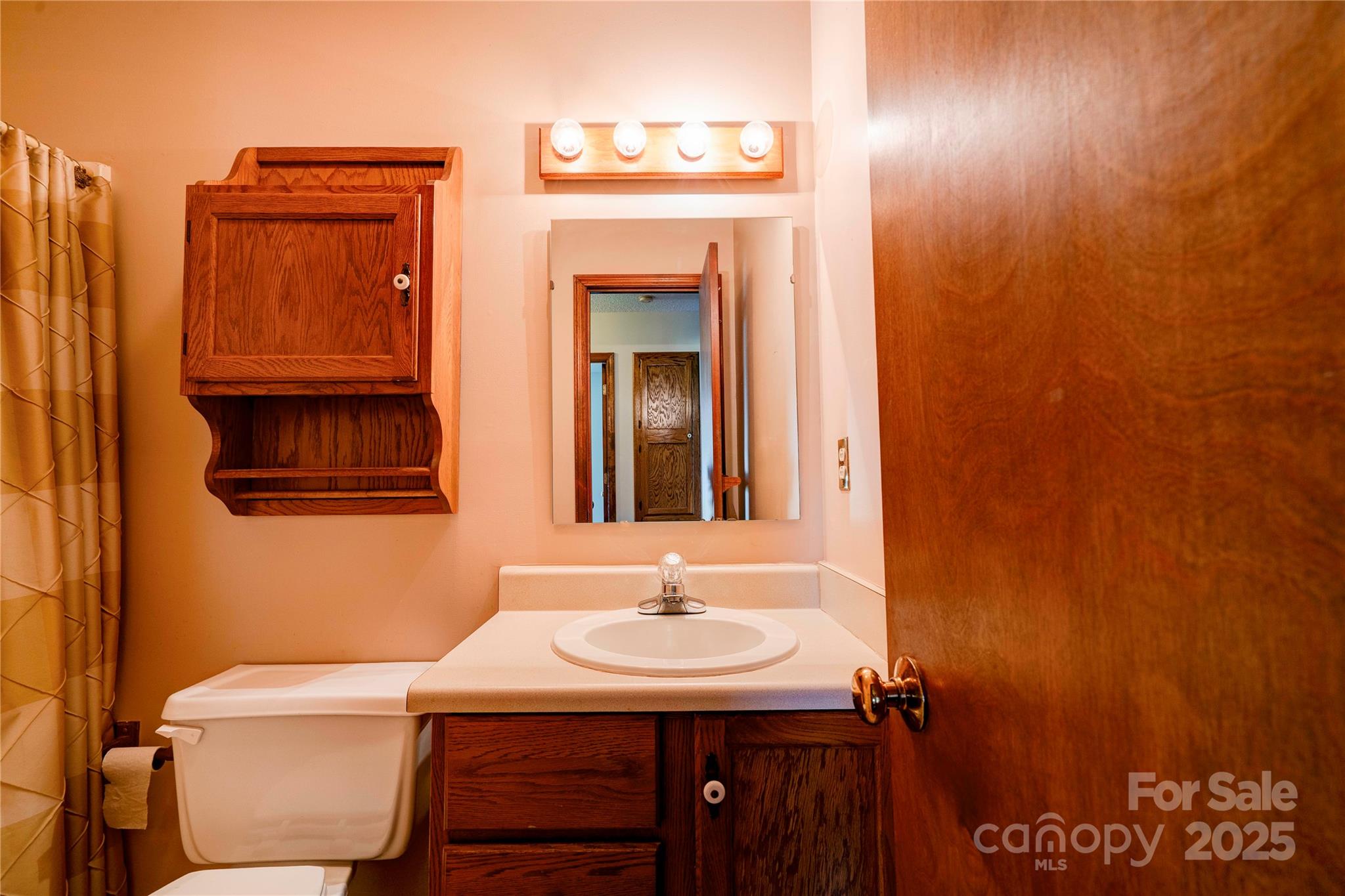 145 Ball Park Road Lawndale, NC 28090 - Photo 17 of 37 a bathroom with a sink a mirror and a toilet