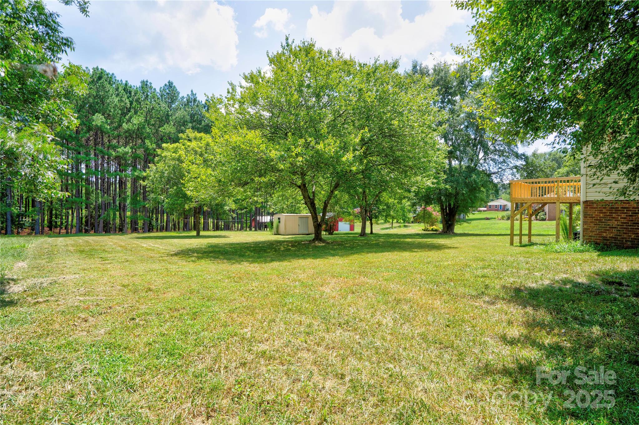 145 Ball Park Road Lawndale, NC 28090 - Photo 36 of 37 a view of a tree in a park