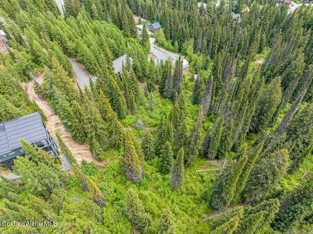 B2 L5 Mogul Hill Road Sandpoint, ID 83864 - Photo 6 of 60 Bordering Recreation Space