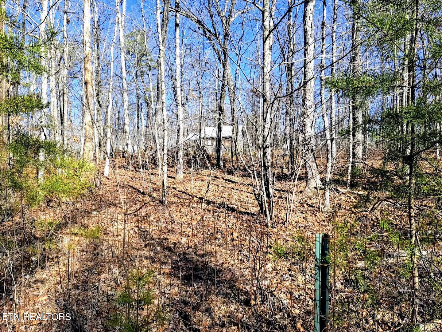 938 Ridge Road West Crossville, TN 38572 - Photo 14 of 22 Gallery Image 14