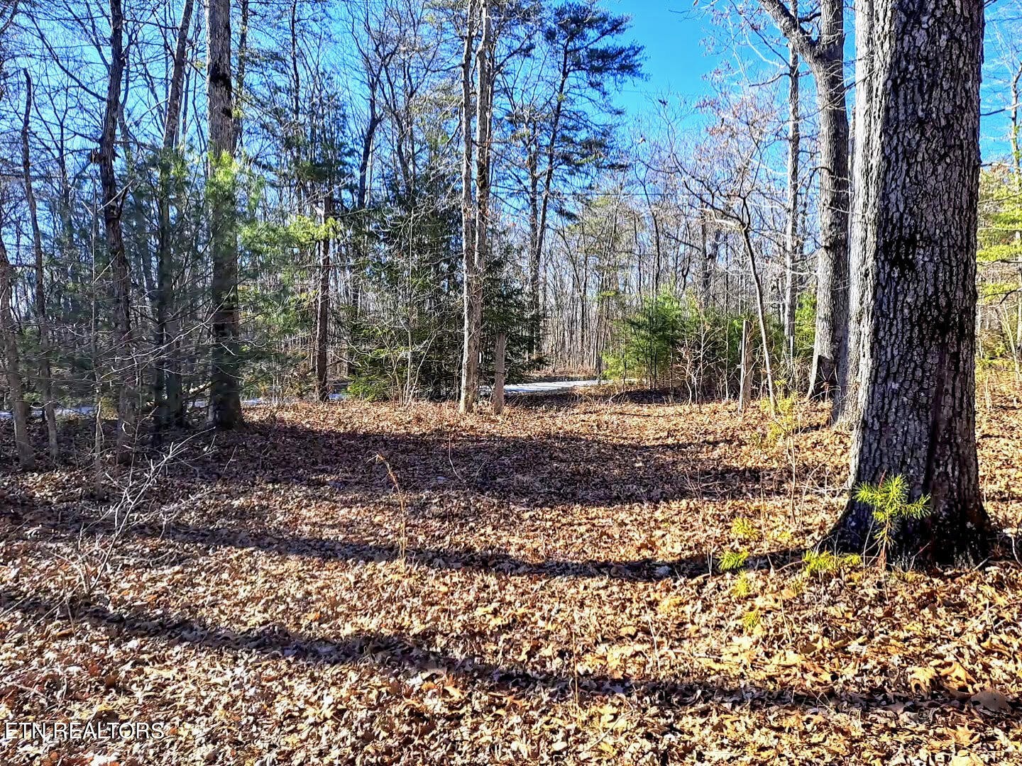 938 Ridge Road West Crossville, TN 38572 - Photo 16 of 22 Gallery Image 16