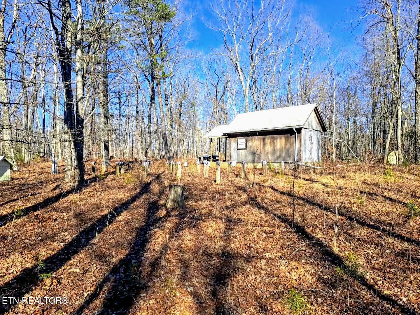 938 Ridge Road West Crossville, TN 38572 - Photo 10 of 22 Gallery Image 10