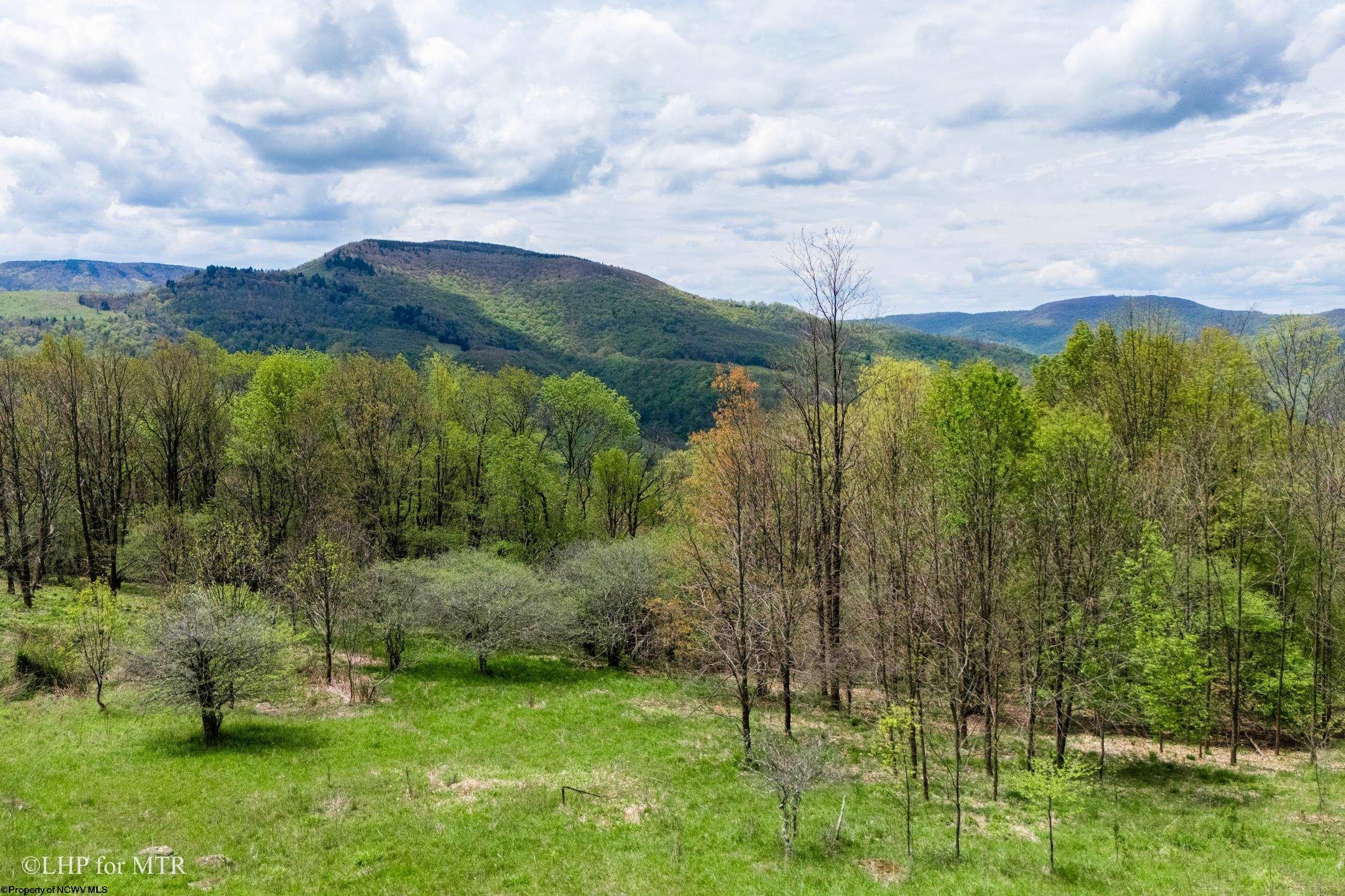 28 Meadows Road West Harman, WV 26270 - Photo 12 of 36 Gallery Image 12