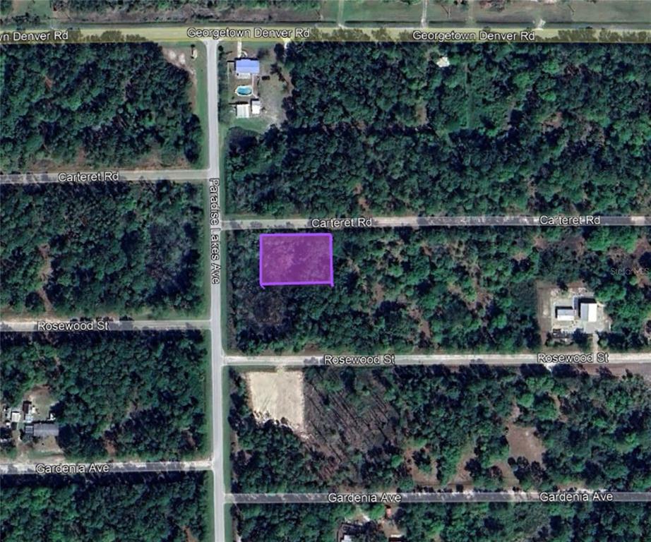 305 Carteret Road Georgetown, FL 32139 - Photo 4 of 11
