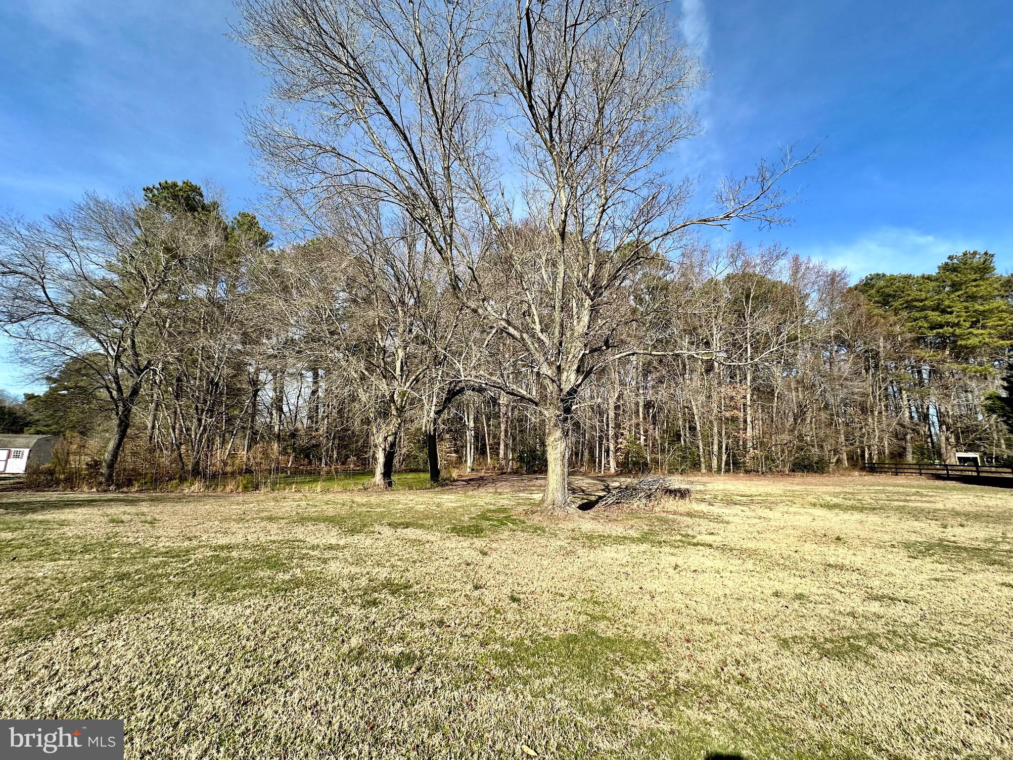 1111 Camp Road Denton, MD 21629 - Photo 8 of 33 a big yard with trees in the background