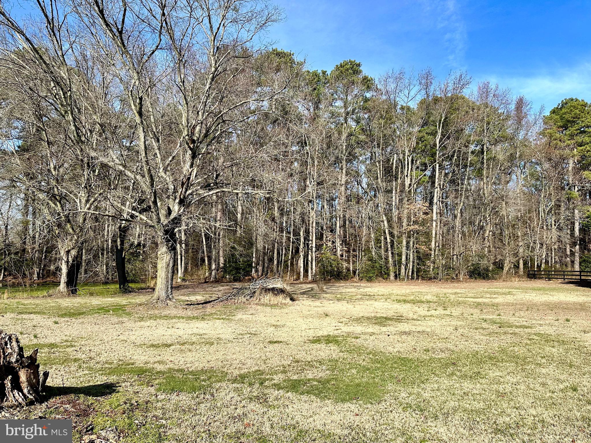 1111 Camp Road Denton, MD 21629 - Photo 9 of 33 a view of outdoor space with trees