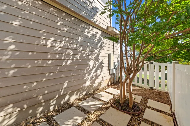 a view of yard with large tree