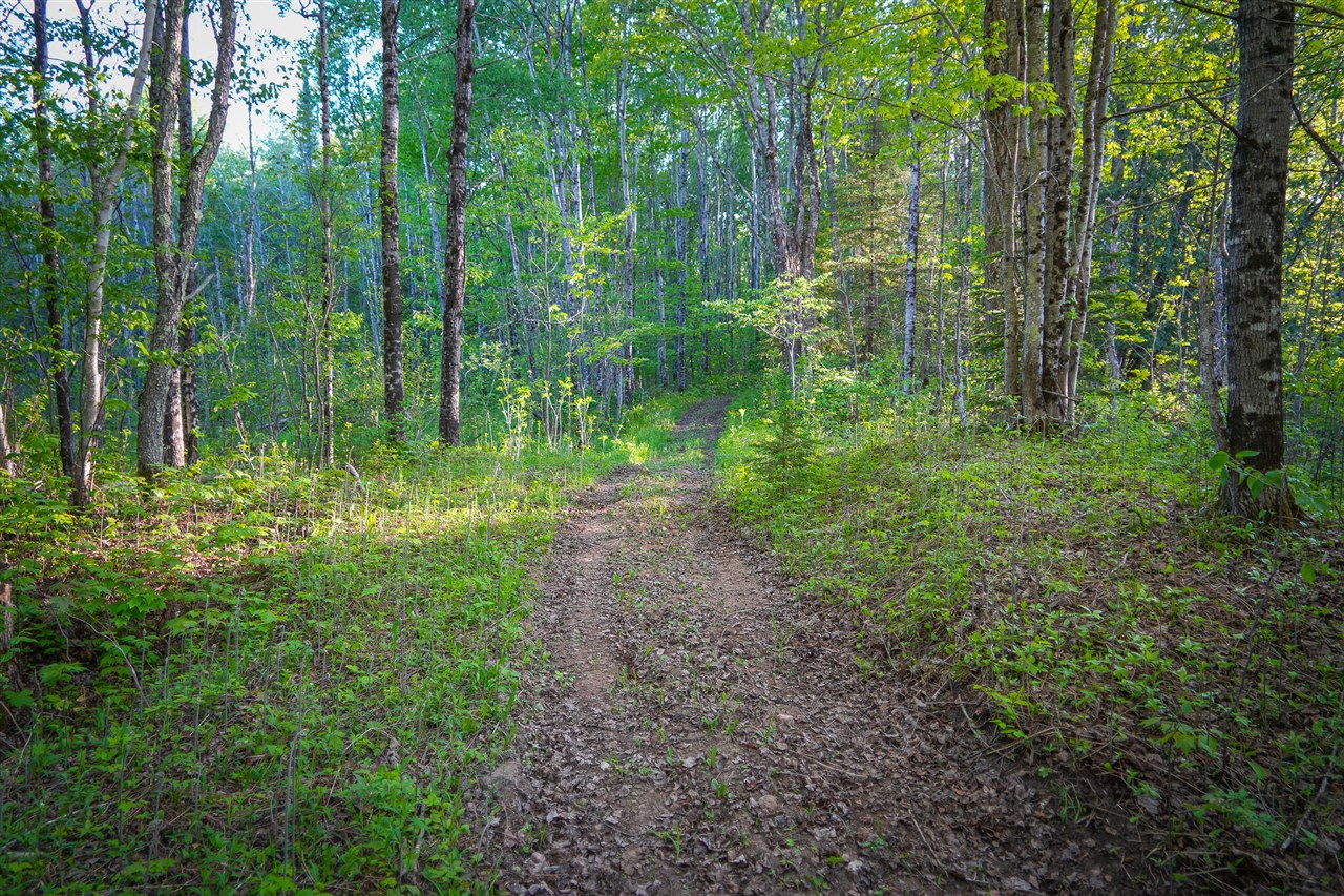 V/l V/l 33rd Road Gladstone, MI 49837 - Photo 40 of 70