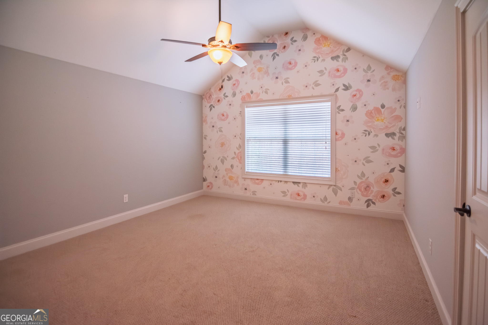 3337 Lower Blue Springs Road Hamilton, GA 31811 - Photo 25 of 41 an empty room with windows and fan