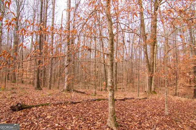 a view of covered with trees
