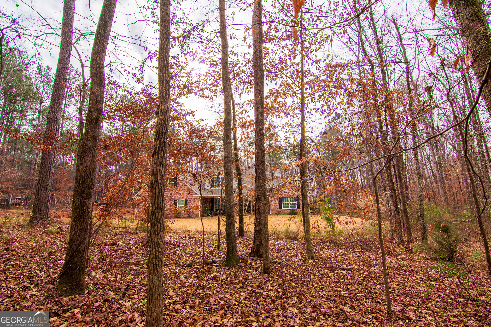 3337 Lower Blue Springs Road Hamilton, GA 31811 - Photo 36 of 41 a view of covered with trees