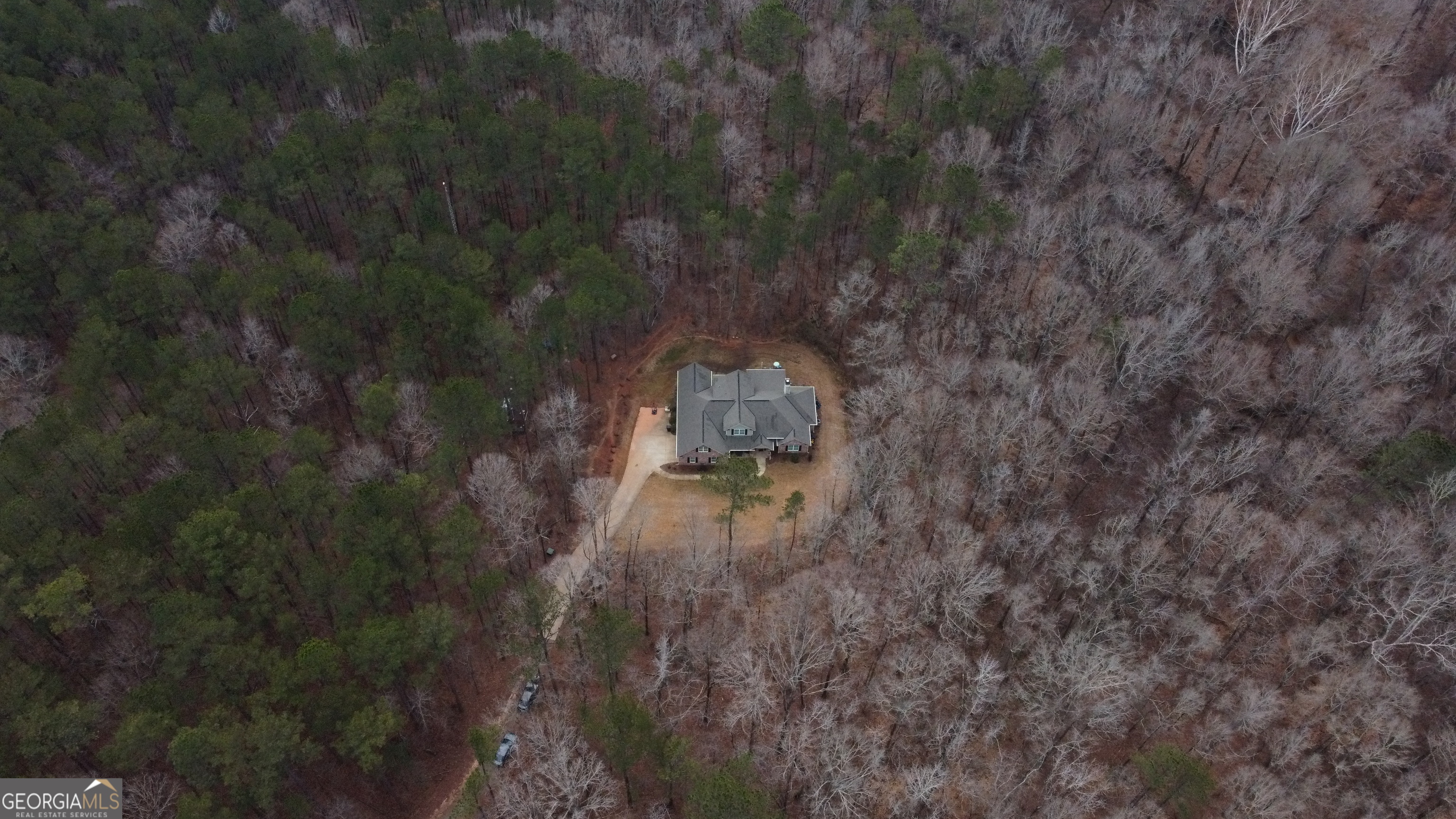 3337 Lower Blue Springs Road Hamilton, GA 31811 - Photo 39 of 41