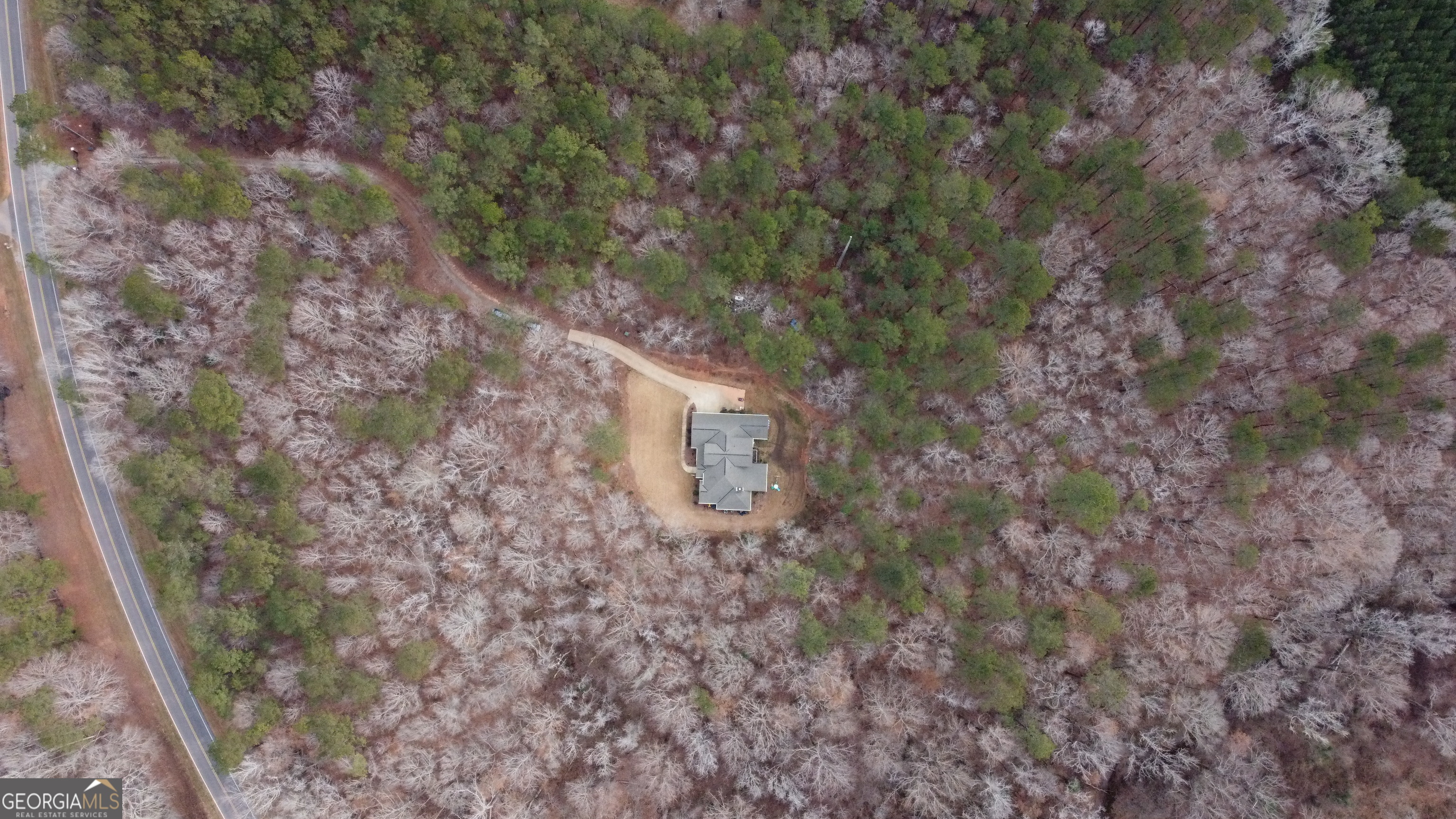 3337 Lower Blue Springs Road Hamilton, GA 31811 - Photo 40 of 41 a aerial view of a house with a yard