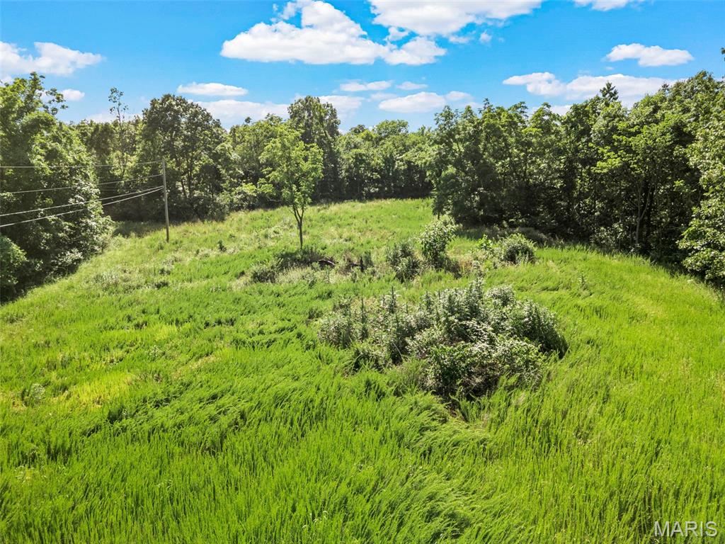 9-acres Timber Ridge Drive Marthasville, MO 63357 - Photo 11 of 22