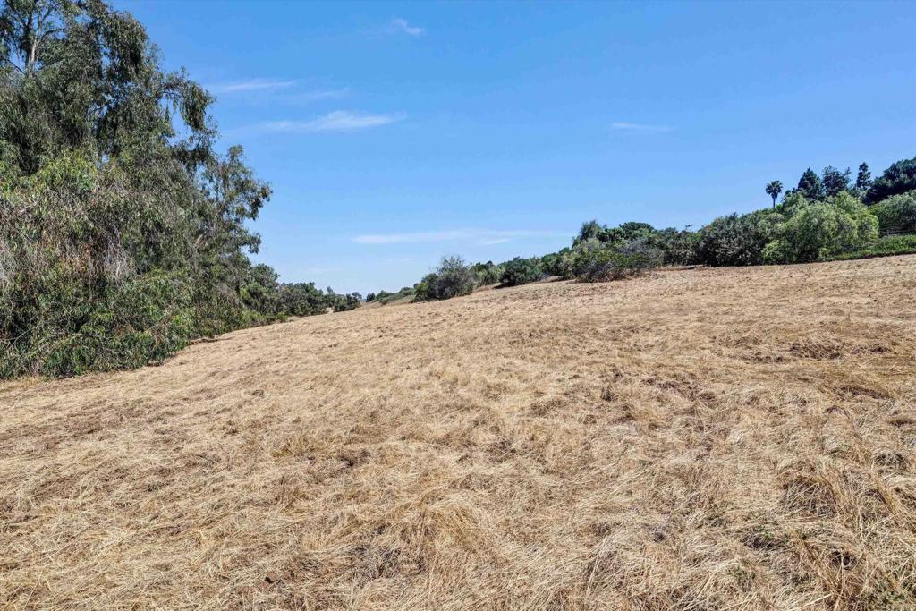 Colina Fuerte Rancho Santa Fe, CA 92067 - Photo 13 of 15 a view of a dry yard
