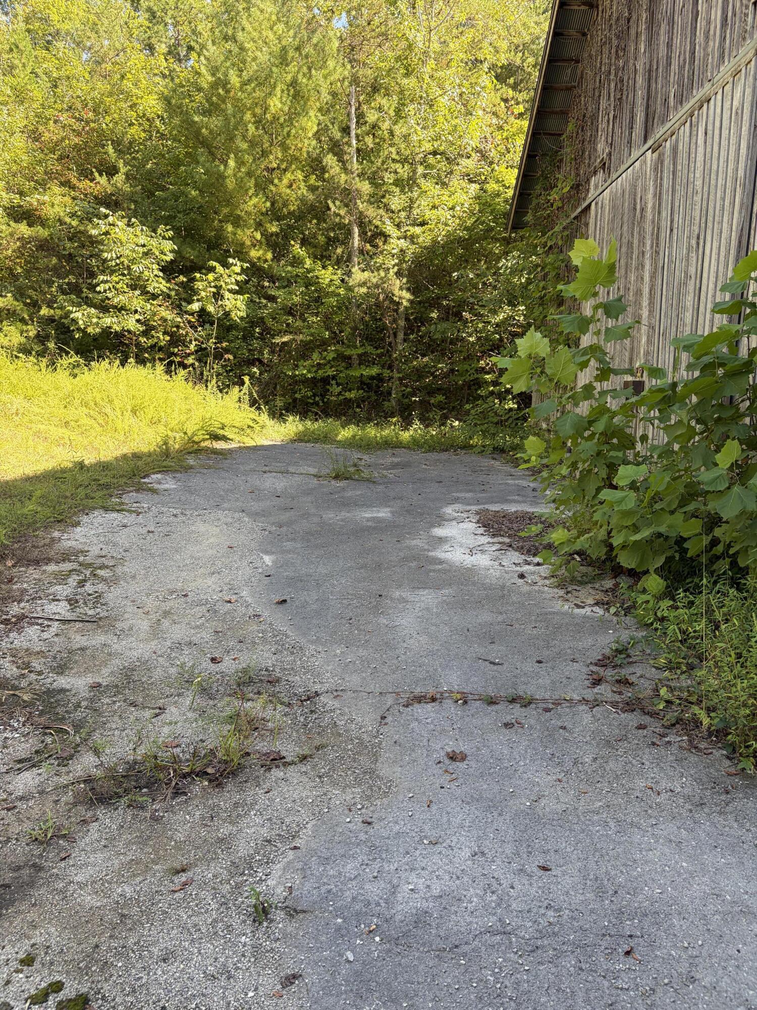 9999 Mountain View Road Williamsburg, KY 40769 - Photo 22 of 35 IMG_4235