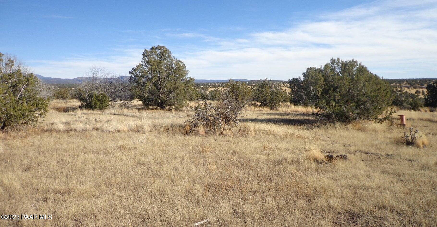 0 North Trackside Trail Ash Fork, AZ 86320 - Photo 3 of 9 a view of a dry yard with trees