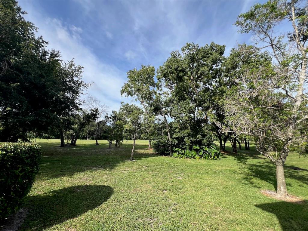 12908 Wedgewood Way, Unit D Hudson, FL 34667 - Photo 39 of 55 a view of a park