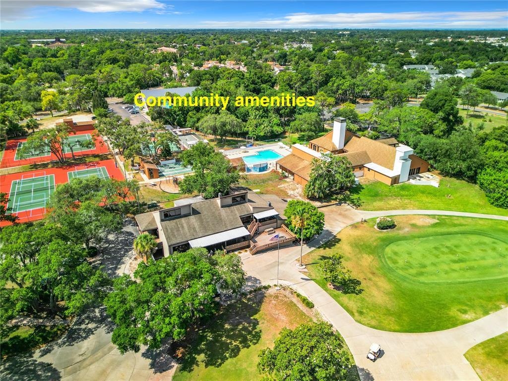 12908 Wedgewood Way, Unit D Hudson, FL 34667 - Photo 43 of 55 a view of a swimming pool with a yard