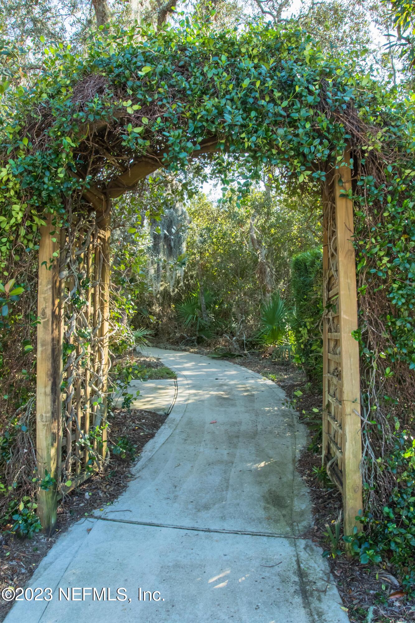 77 Glorieta Drive St. Augustine, FL 32095 - Photo 63 of 67 a view of a yard with plants and large trees