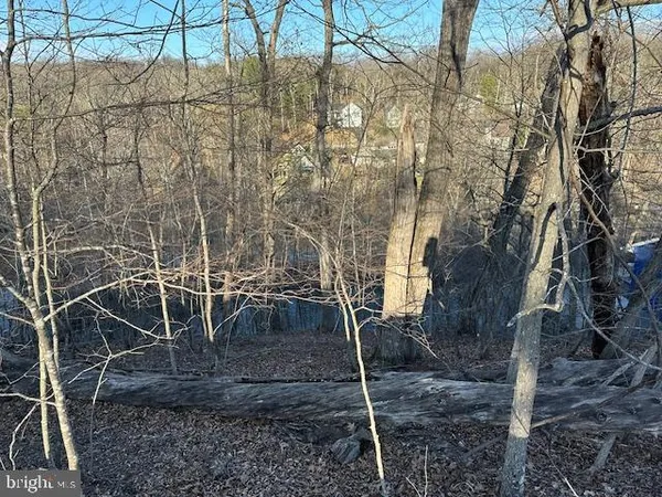 $49,900 | 1231 Lakeview Drive, Cross Junction, VA 22625