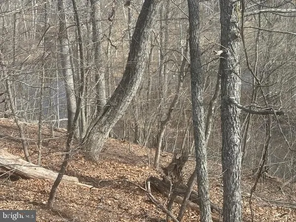 $49,900 | 1231 Lakeview Drive, Cross Junction, VA 22625