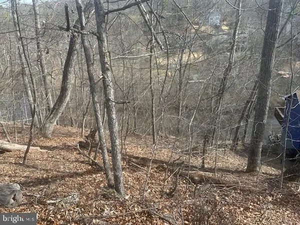 $49,900 | 1231 Lakeview Drive, Cross Junction, VA 22625