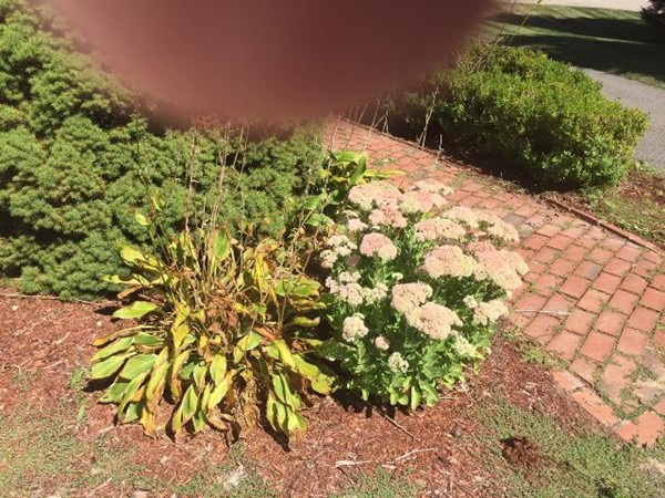 9 Sadie Circle Easton, MA 02375 - Photo 13 of 21